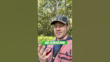 Can a native species become a biodiversity threat? #forest #tree #trees #plants #nature #short