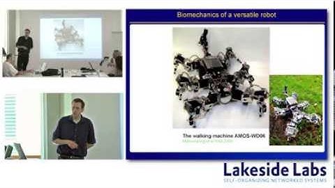 Challenges in Network Dynamics: Collective Nonlinear Dynamics for Autonomous Systems