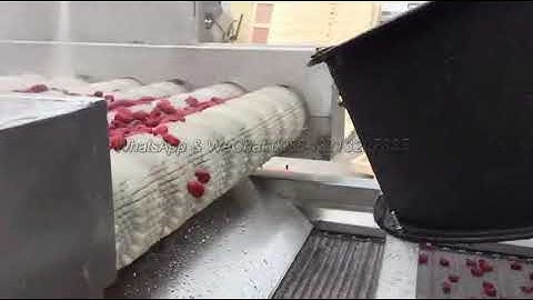 Dates Washing Drying Line
