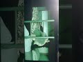 Scrubzah Records Himself Sleeping At 3AM