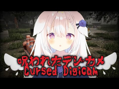 【呪われたデジカメ/Cursed Digicam】✧夏になったからね・・・✧【Vtuber】
