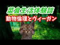【動物倫理学】菜食生活を一年間続けた体験談【精進料理・ベジタリアン・ヴィーガン】