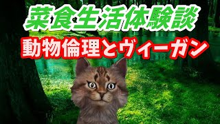 【動物倫理学】菜食生活を一年間続けた体験談【精進料理・ベジタリアン・ヴィーガン】