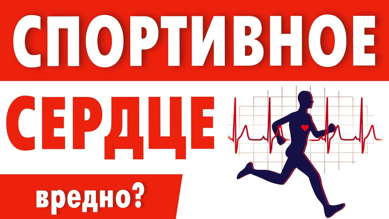 Тренировка сердца. Кардио нагрузки нужны или нет - YouTube