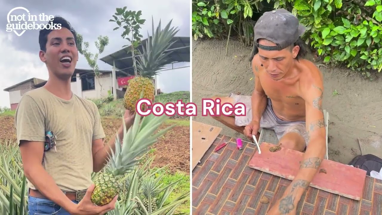 Not in the Guidebooks - Consumer Video