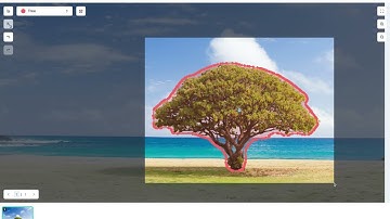 Auto Polygon Creation - Tips - LabelFlow