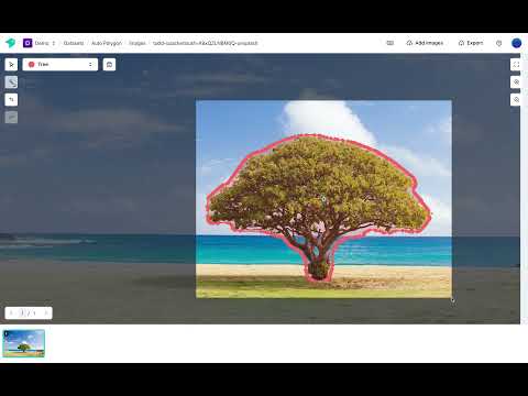 Auto Polygon Creation - Tips - LabelFlow