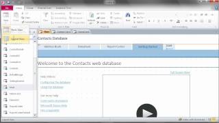 Changing the Theme for Forms & Reports