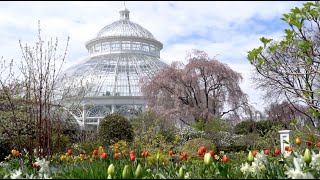 Journey Through Spring