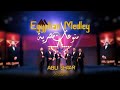 ميدلي مصري منوعات مصرية الإخوة أبوشعر Egyptian Medley Abu Shaar Bro 