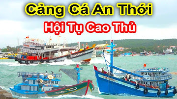 Ghe Lưới Bao Cà Mau Và Quảng Ngãi Vào Cảng An Thới - Phú Quốc || Hội Tụ Cao Thủ