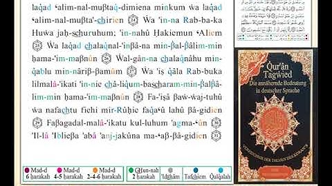 ختمة من مصحف التجويد باللغة الألمانية الصفحة رقم 263