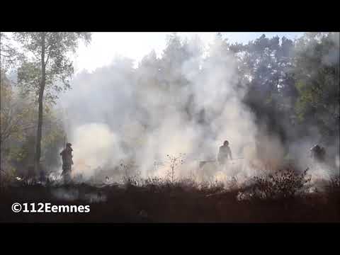 prio 1 heidebrand postiljionheide Laren (prio1 ts 142341)