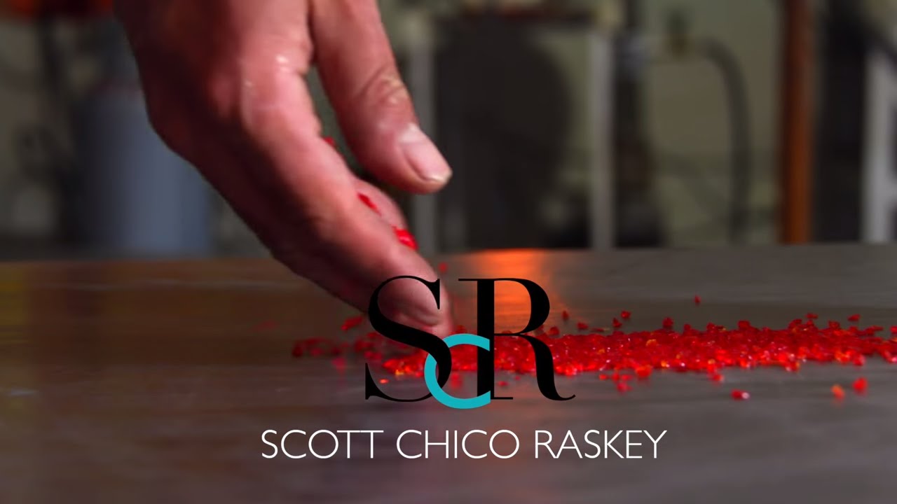 Scott Chico Raskey - Artist 2016