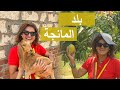 جولة جديدة في بلد المانجة شيف سلمى سليمان 