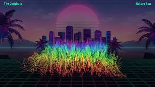 The Judybats - Native Son (3D Waveform Visualizer)