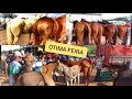 #62 FEIRA DE CAVALO EM CARUARU PE - HOJE COM BASTANTE LAMA!! (17/03/2020)