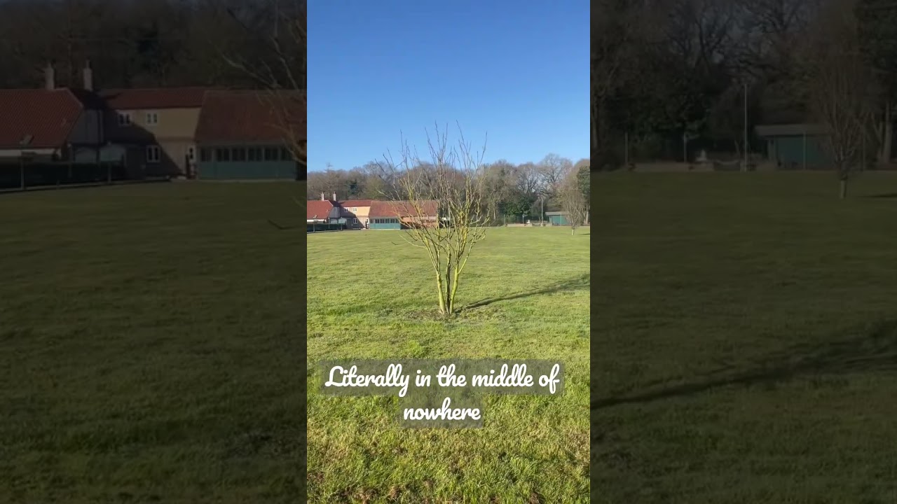 Tranquil and remote. The wildlife here at Scotgate Cottage is second to none. 