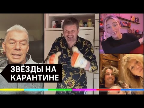 Звёзды шоу-бизнеса на карантине