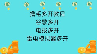 撸毛多开教程 ‖ 谷歌多开 ‖ 电报多开 ‖ 雷电模拟器多开