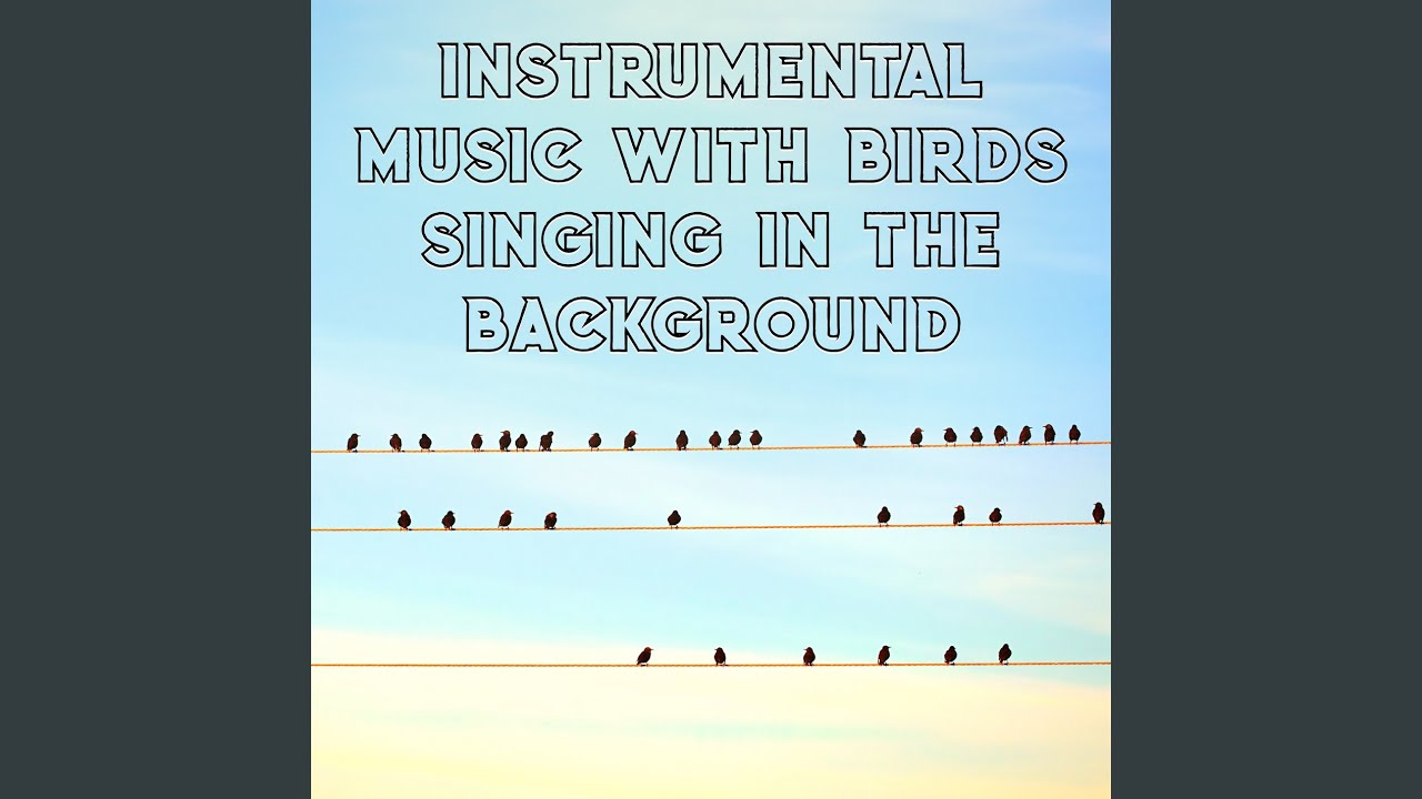 Mysterious Landscape