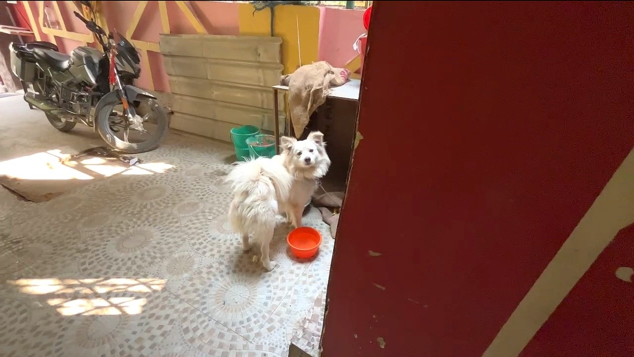 Aaj To kat Leta Bach Gya .. Trip Part 2