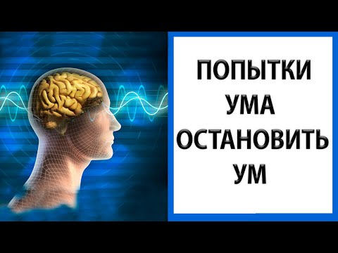 Состояние без мыслей | Твое заветное желание [Природа ума]