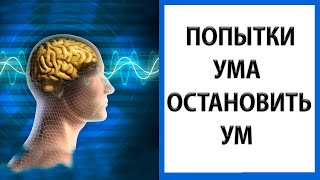 Состояние без мыслей | Твое заветное желание [Природа ума]