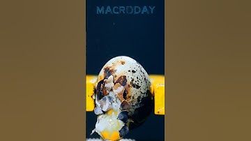 Burning An Egg #macro #macrovideo #asmr #closeup #supermacro #satisfying