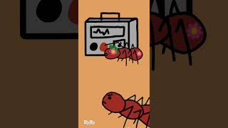 Ant finds music box 🎵 #animation #ants #shorts