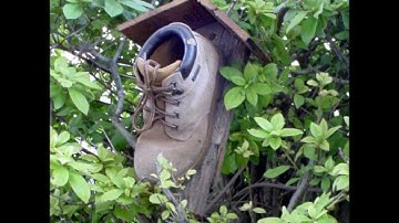 Bird Houses Video That Will Shock and Awe You