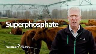 Superphosphate explained: NZ's most widely used phosphorus fertiliser