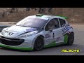 3° Ronde dei Leoni 2013 - Pure Sound & Show [HD]