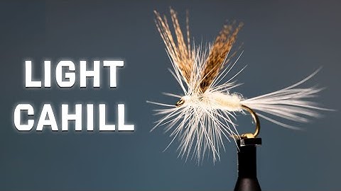 Light Cahill Fly Pattern | Dry Fly Tutorial