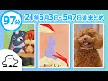 【赤ちゃんが泣きやむ】シナぷしゅ公式21/05/03~05/07まとめ│テレビ東京x東大赤ちゃんラボ│赤ちゃんが喜ぶ知育の動画