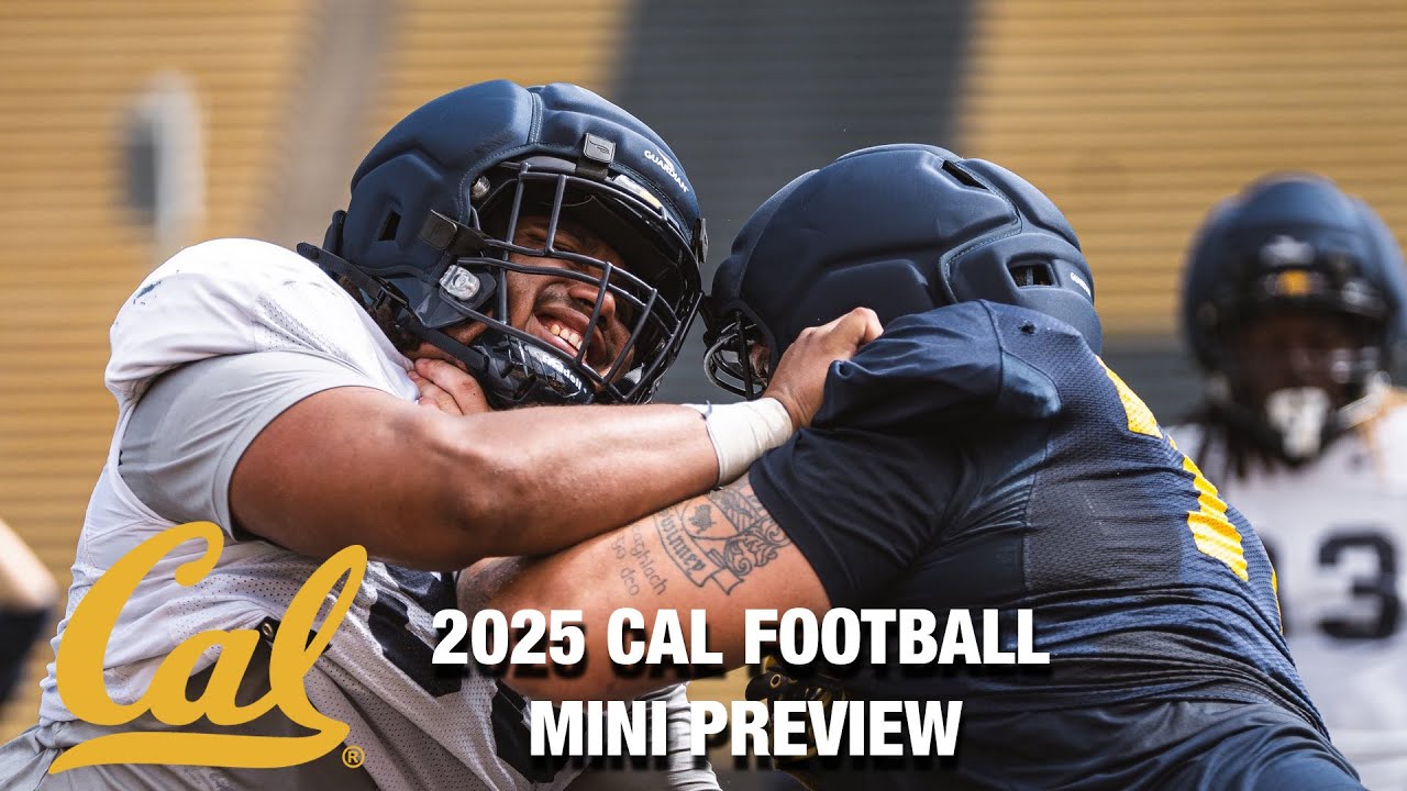 cal helmet fantasy football California Golden Bears Riddell Speed Display 8037919 2025 Cal Football Mini-Preview |