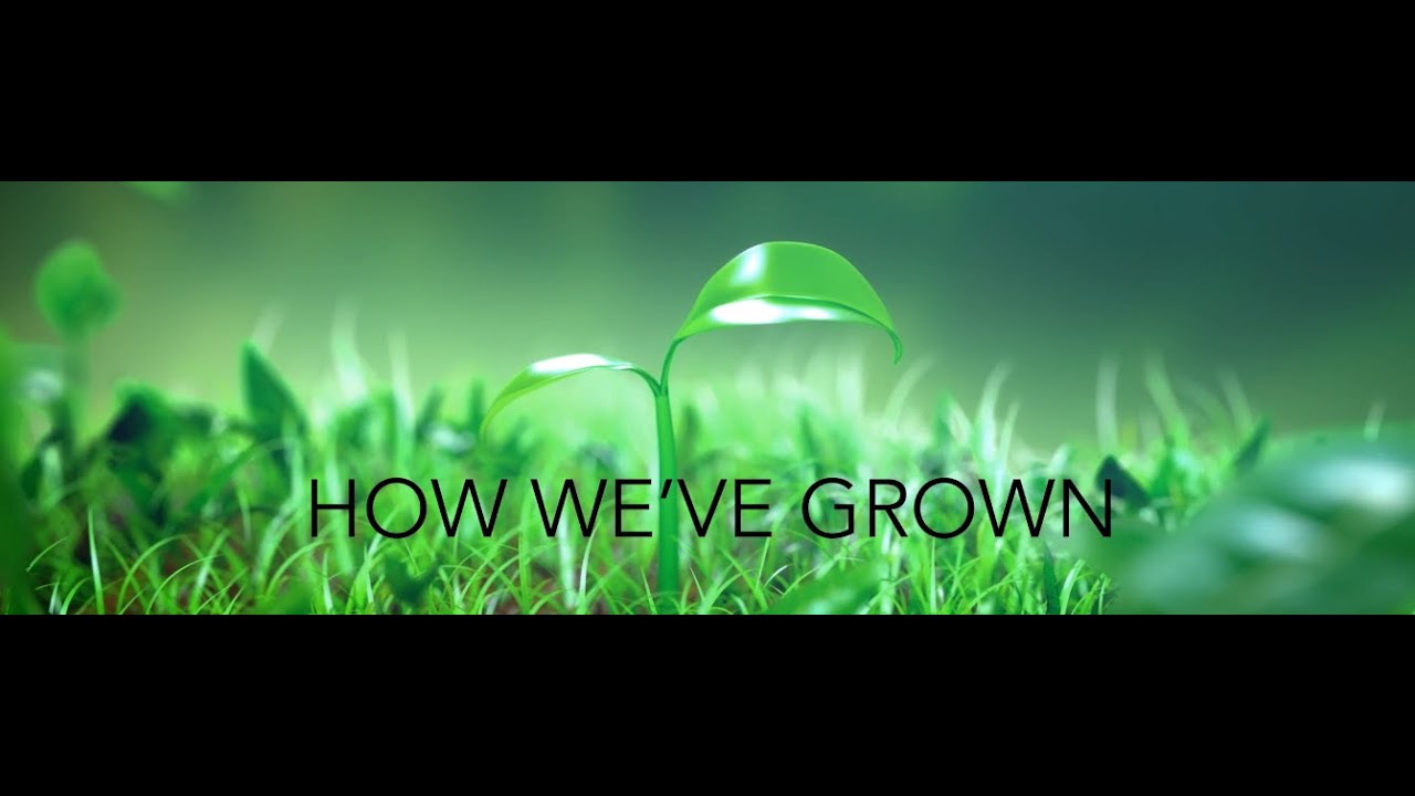 Business Anniversary Video