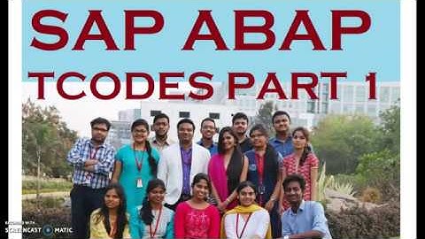Mastering SAP ABAP Tcodes: Your Ultimate Guide - Part 1"