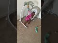 This happen when there is a new baby