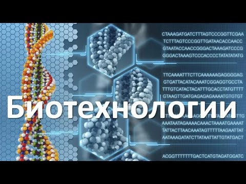 Видео: Что такое протеасома в биологии?