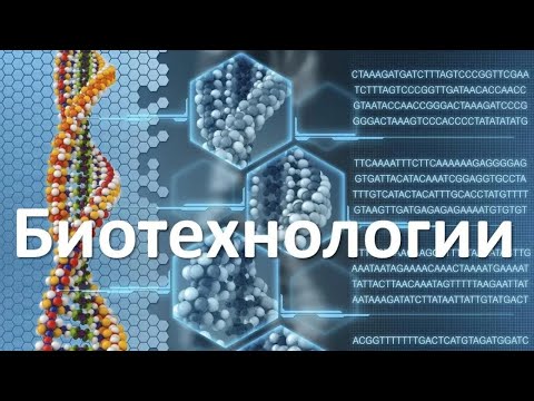 Бейне: Биологиядағы протеасома дегеніміз не?