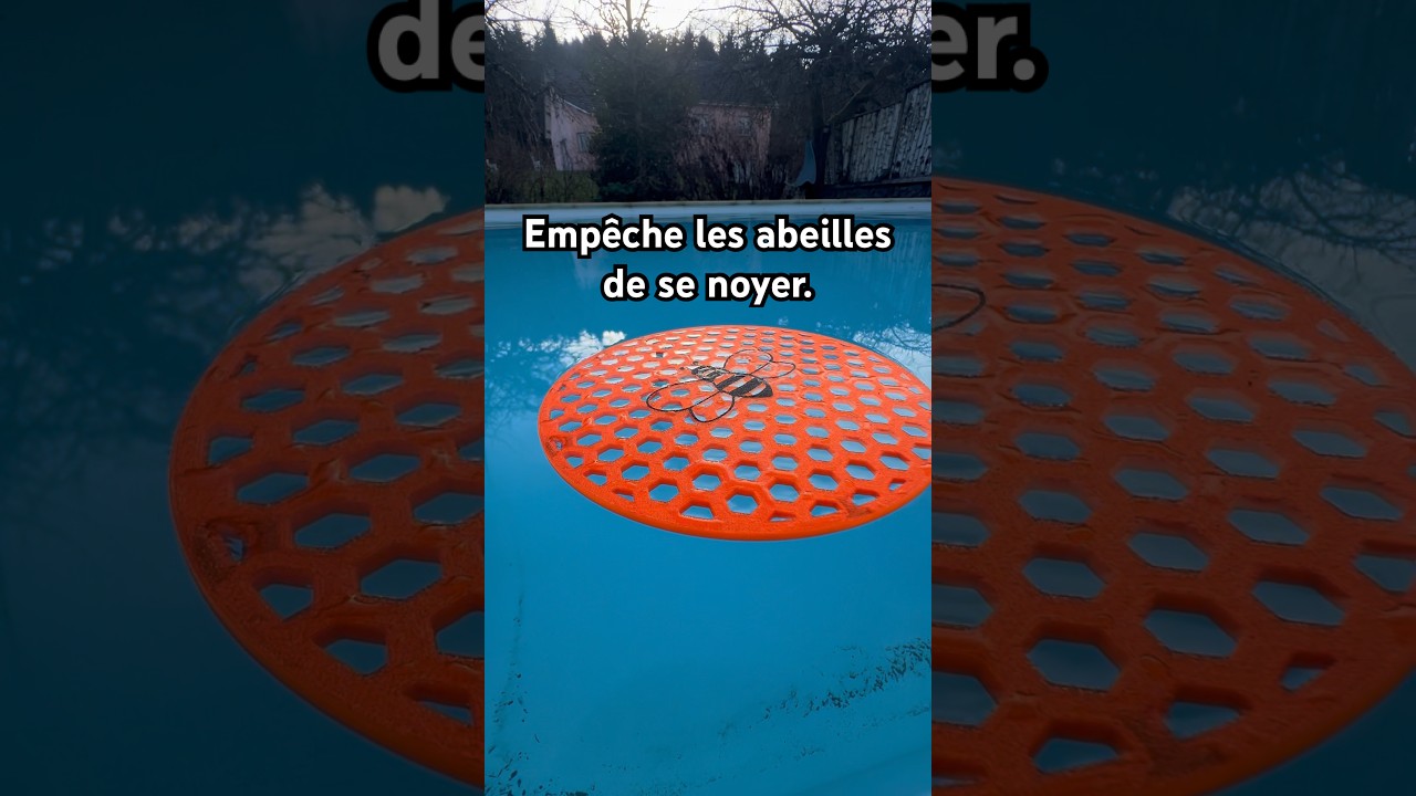 Plate-forme anti noyade pour les abeilles