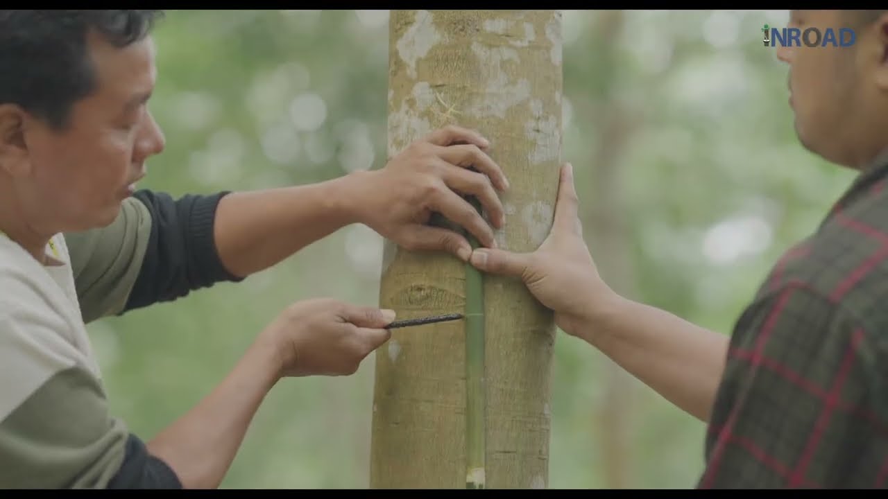 A frame from the learning brief stage of an INROAD training film.
