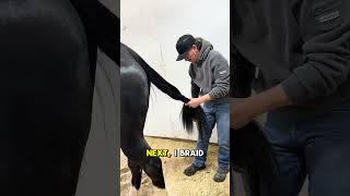 350 days! Let’s prep Arya for foaling!!