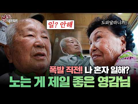 The Ant Grandmother and the Grasshopper Grandfather 🐜 A 365-day infuriating real-life sitcom [Nam...