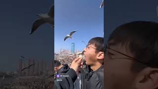 Эпичные провалы 🤣🤣🤣 #funny #смехпродлеваетжизнь