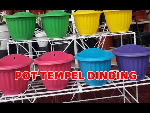 Pot Tempel Dinding Tembok Bunga Hias Tanaman Taman Youtube