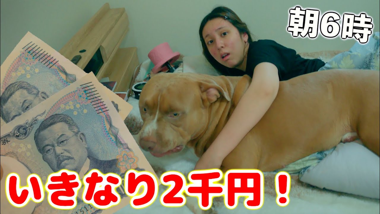 朝6時にいきなり2千円！寝起きでコンビニ！何買う？【セブン】