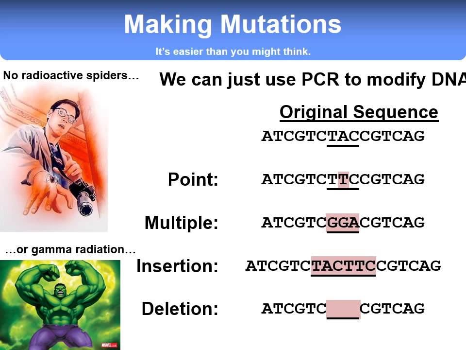 L05   Mutagenesis and Protein Structure with audio