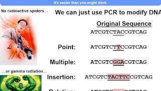 L05   Mutagenesis and Protein Structure with audio